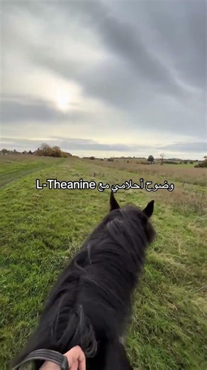 I get it from 👋🏼 discount code:Amiris