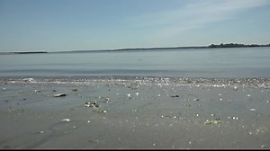 NYC to use drones to help rescue swimmers this summer