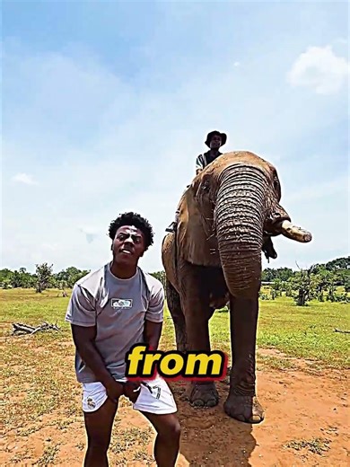 Backflipped Off an Elephant?! (WAIT FOR IT) 🐘😱