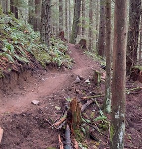 24K views · 63 reactions | Jackson Goldstone on Reels | Facebook