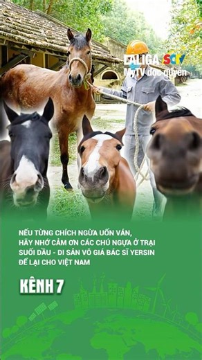 Tại Sao Người Việt Biết Ơn Bác Sĩ Yersin Đến Vậy?