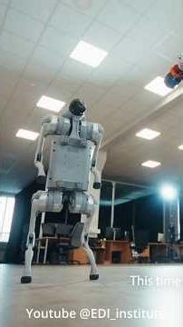 6-Axis open-source nature AR4 robot arm with industrial-grade repeatability for industry and school