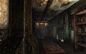 Horror Cellar mod for Amnesia: The Dark Descent