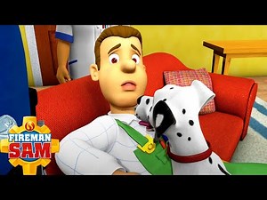 Fireman Sam's Animal Friends! | Fireman Sam Official | Cartoons for Kids