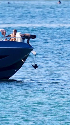 Miami Famous on Instagram: "Would you do this bare foot?"