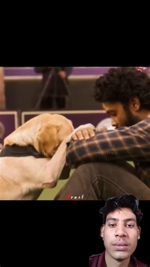 Dog emotional status- charlie 777 movie emotional 😭 scene charlie movie reel #charlie #shorts