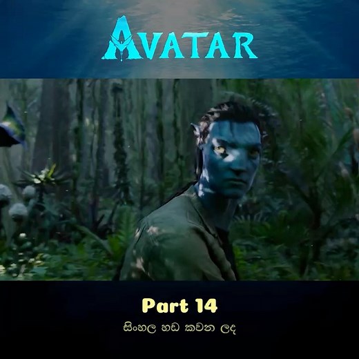 Avatar 2009 [සිංගල හඩ කවන ලද] PT 14 #AvatarMovie #sinhaladubbed #sinhalamoviereview #avatar | Clips for You