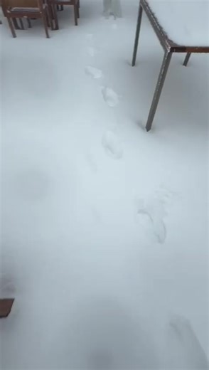 Savaş Bozkaya ve Manal: İlişkiler Üzerine Duygusal Bir Bakış