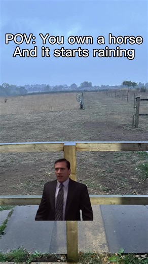 Weekly Weather Forecast and Fun Memes for Horse Lovers