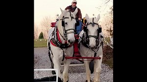 113 reactions · 59 shares | The ultimate family experience. $40 per...