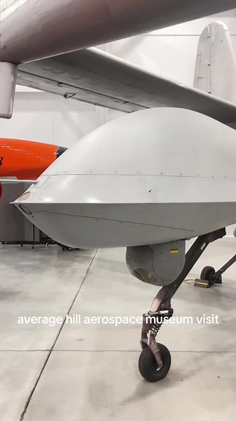 benladenisalive on TikTok