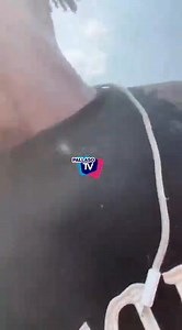 62K views · 2.7K reactions | ALIEN SKIN MEETS PALLASO  | FLECK DJ | Facebook