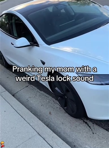 The Hilarious Tesla Locking Sound Effect You Must Hear!