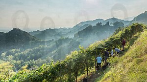 Dreaming of a luxurious Italian winery experience? Then meet the wineries of The #GrandWineTour: Bortolomiol Prosecco Superiore Valdobbiadene makes top quality Prosecco DOCG from their stunning vineyards in Conegliano-Valdobbiadene, Veneto | The Grand Wine Tour