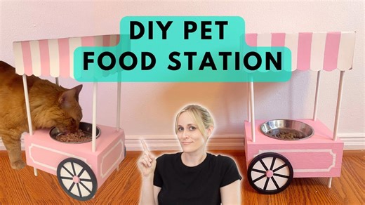 Create an adorable DIY cat feeding station that looks custom