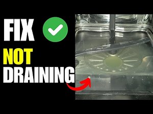 Blomberg Dishwasher Not Draining - How To Fix