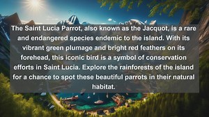 Discover Saint Lucias Breathtaking Wildlife: Top 10 Native Fauna