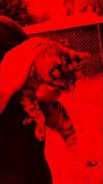 RED SKIES AT NIGHT BY THE FIX