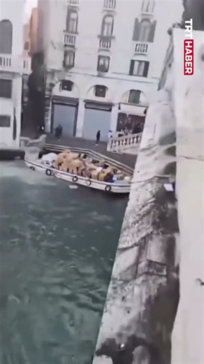 Venedik'te 20 yaşındaki bir kadın, kargo teknesini çalarak tarihi bir yapıya çarptı
