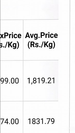 TODAY CARDAMOM PRICE PER KG
