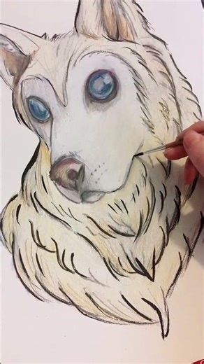 Heart melted seeing this husky art! #art #fanart #husky