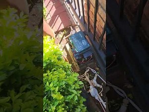 Setting Centurion D5 Gate Motor Limits - Spilling The Secrets