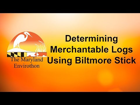 Determining Merchantable Logs Using a Biltmore Stick