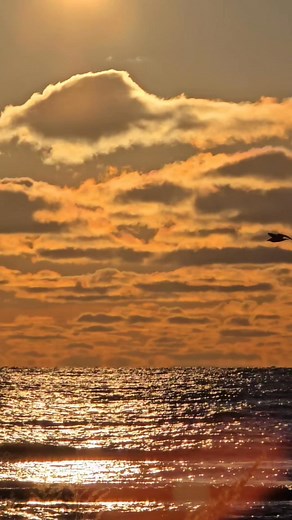 Tap for full view! Pt.3- Sunrise on Lake Huron! Oscoda, Mi. 4-8-25 | Laurie Ferguson