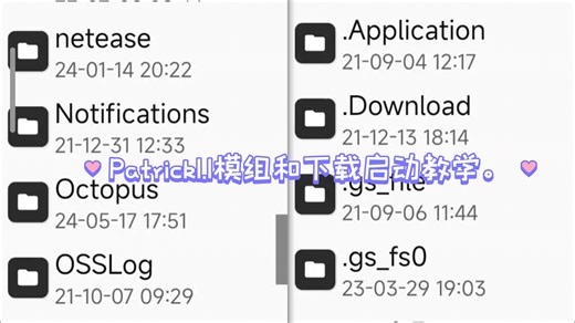 Patrick下载启动教程和模组。