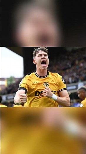 Tottenham vs Wolves Prediction Week 6