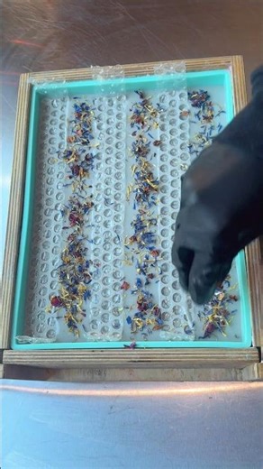 Earl Grey Tea + Honey Soap: Spring Bloom Bar 7 #soapmaking #soap #handmadesoap #soapmaker #soapbars