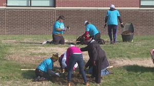 TreesLouisville hopes to help encourage the city to get planting
