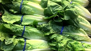 CDC issues nationwide warning to avoid all romaine lettuce