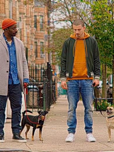 Dog Training Competition Highlights