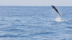 Mood when you know your beach vacation is this February... 🤩 From the CL archives! | Coastal Living