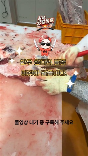 한우 앞다리 발골 과정 공개합니다 #쌍칼 #한우 앞다리 #육가공 발골 #육가공기술 #육가공의 일상 # 육가공의 고수 #발골사