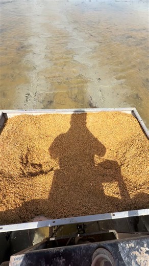 Positive Thinking Reminder