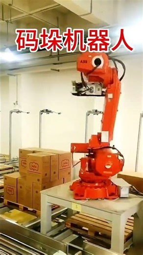 Palletizing Robot