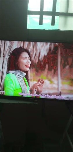 Could this problem be caused by a loose connection in the monitor or cable?