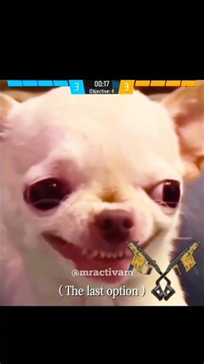 The Last Option 😁 #shorts #shortsfeed #mractivam