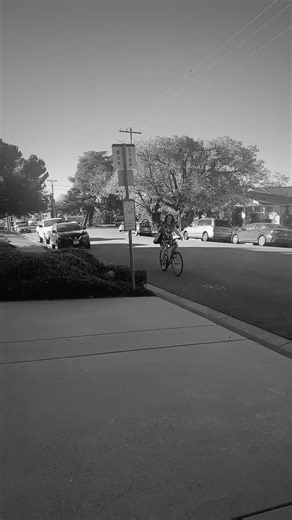 20 reactions | Whatever shall our intrepid library patron do?! She has no time to come into the Beaumont Library today. Never fear, curbside pickup is here! Starting Saturday, November 1st, curbside service will be available during our open hours! For more details, visit myBLD.org or give us a call at 951-845-1357 for assistance. #curbsidepickup #beaumontlibrarydistrict | Beaumont Library District | Facebook