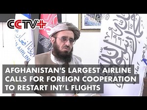 Chief of Afghanistan's Largest Airline Calls for Foreign Cooperation to Restart International Flight