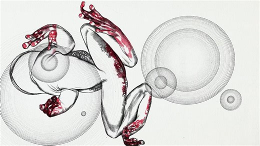 The tree frog die-off that sparked a global mystery – and revealed a dark truth | Aeon Videos