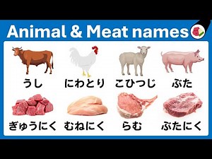 Learn Japanese Fast! Essential Words for Absolute Beginners