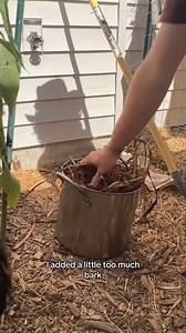 How to bark tan rabbit hides, part 2. #fyp #survival #bushcraft #primitive #leather #leathercraft #howto #hidetanning | Sage Smoke Survival