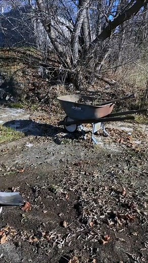 Abandoned lot uncovered - years of overgrowth gone!!_2 | Anything Gone Wrong | Facebook