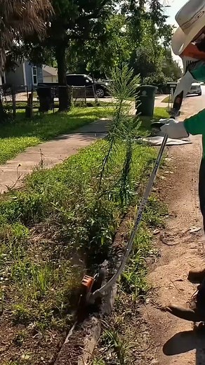This Yard Turned Into a Complete Dump | Lawn care