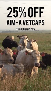 Target parasites fast with VetGun. Save 25% on AiM-A VetCaps (Abamectin)—no chute, no stress, just results. | Valley Vet Supply