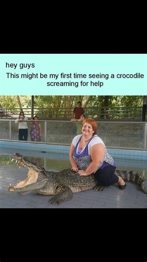 hey guys on Instagram: "Bro… I swear this crocodile is rethinking every life choice it ever made 😭 Man came to the zoo like “I fear nothing”… Five minutes later: existential crisis unlocked 😂 The way it’s screaming like, “HELP! I didn’t sign up for this photo shoot!” 💀 Meanwhile she’s just smiling like it’s the most normal thing ever 💫 Nature: broken Crocodile: buffering Me: laughing way too hard 🤣 Tag a friend who would 100% take a photo exactly like this 💀🔥 #memes #funny #relatablememes