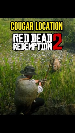 RDR2 Cougar Spawn Location 🐆 | Get a Perfect Pelt Fast! | #rdr2 #reddeadredemption2 #gaming #rdr2